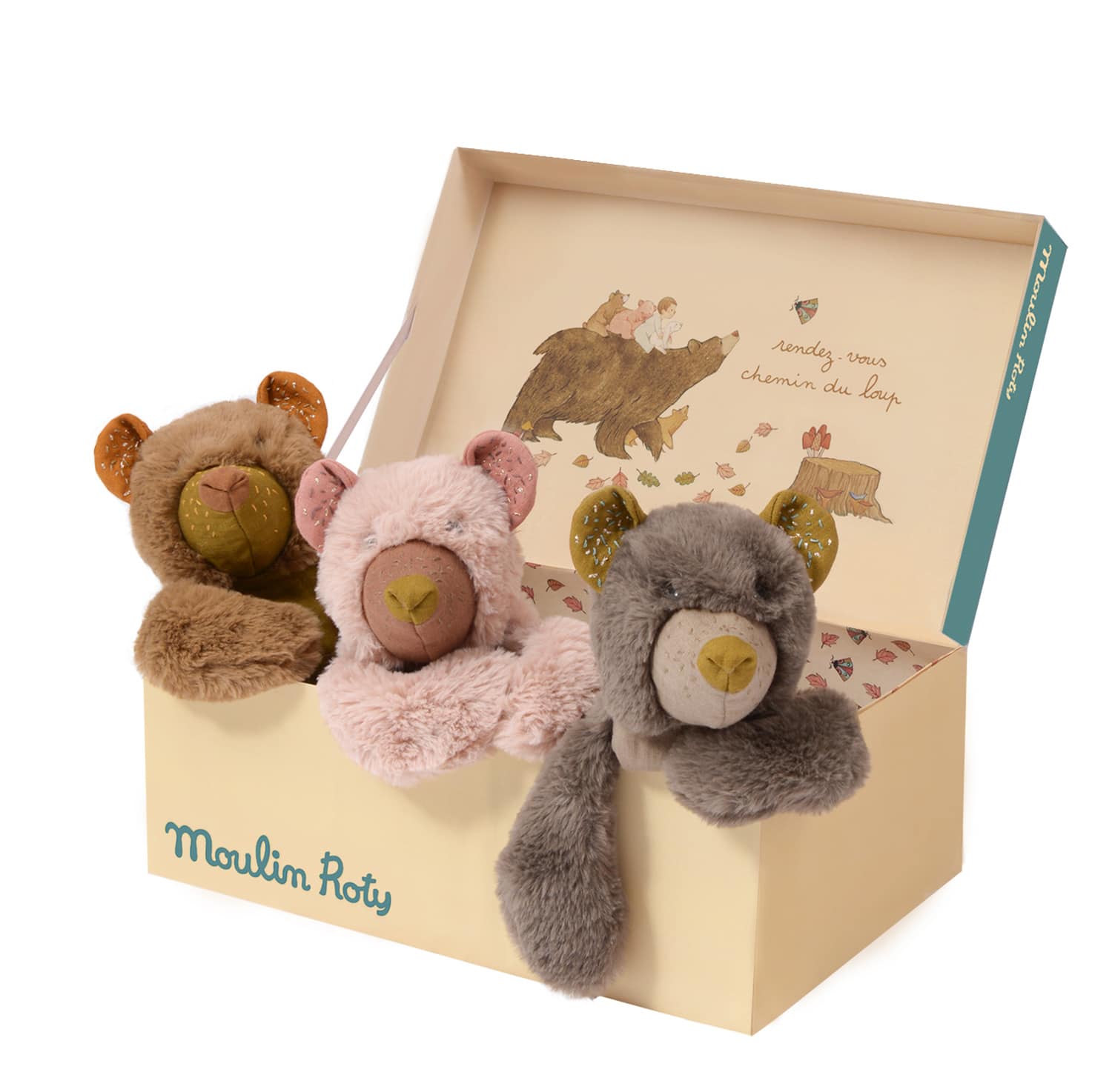 teddy bear display box