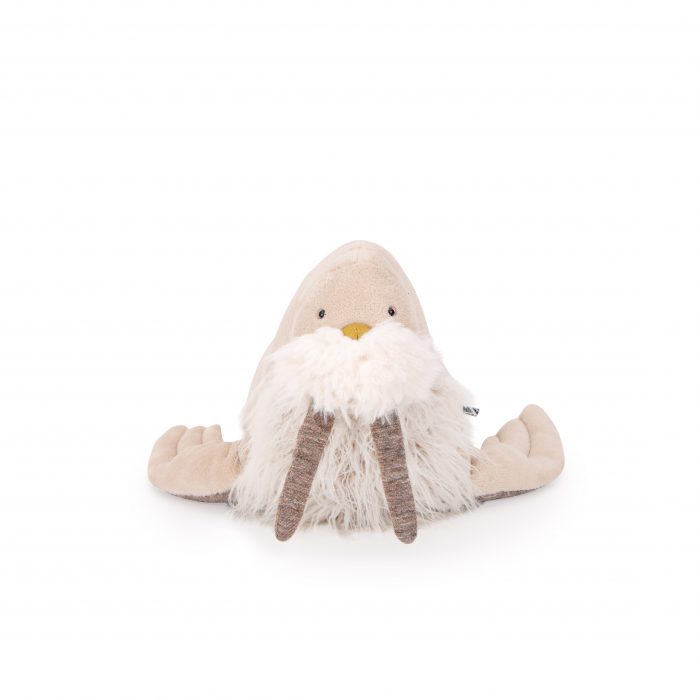 Autour du monde small walrus