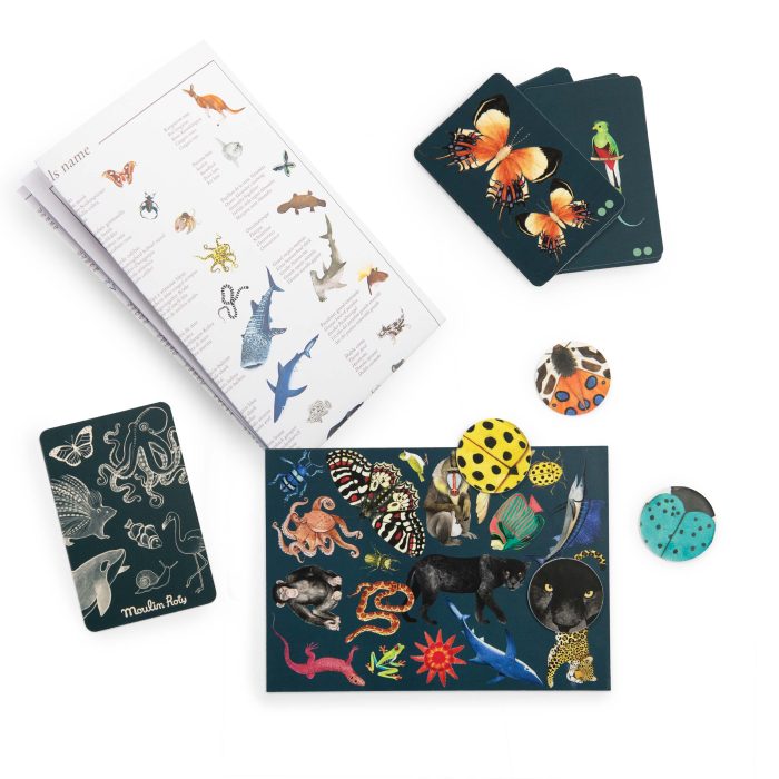 Autour du monde seek and find card game - Image 2
